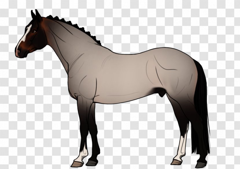 Horse Mane Foal Stallion Rein - Silhouette Transparent PNG
