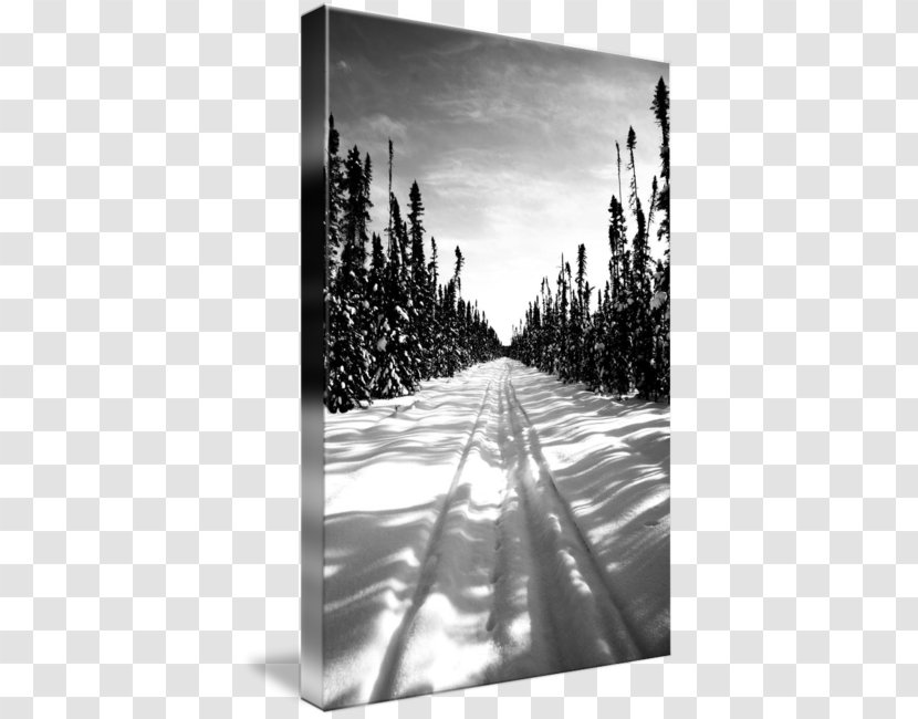 Gallery Wrap Canvas Winter Art Photography - Landscape Transparent PNG