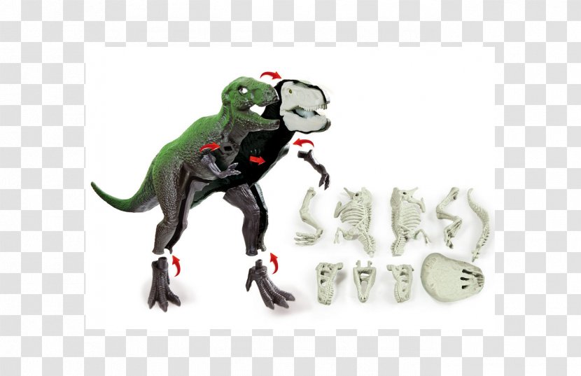 Dog Tyrannosaurus Rex Dinosaur Focus Junior Toy 182384 Il Grande T-rex - Paleontology Transparent PNG