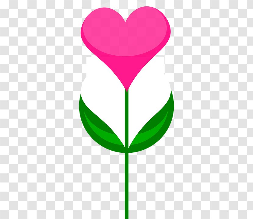 Flower Heart Drawing Clip Art - Artwork Transparent PNG