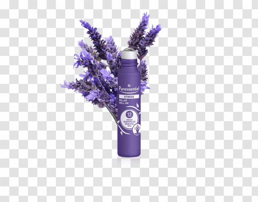English Lavender Oil Flower French Plant - Tincture Transparent PNG