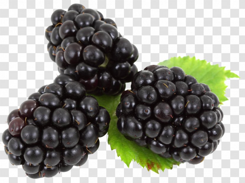 Boysenberry Frutti Di Bosco Clip Art - Produce - Blackberry Transparent PNG