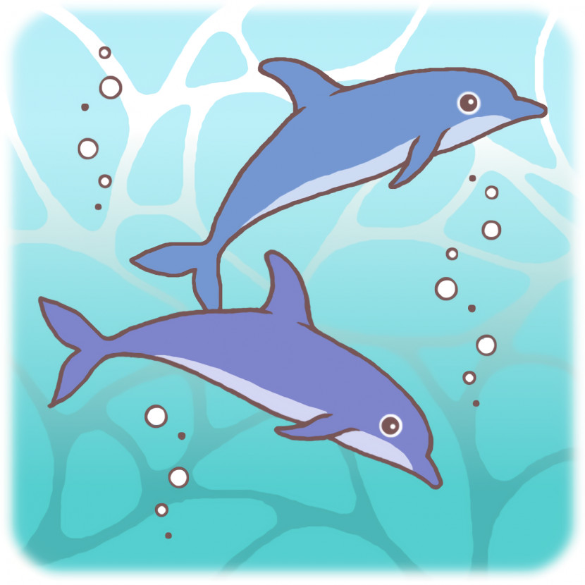 Cartoon Dolphin Bottlenose Dolphin Biology Science Transparent PNG