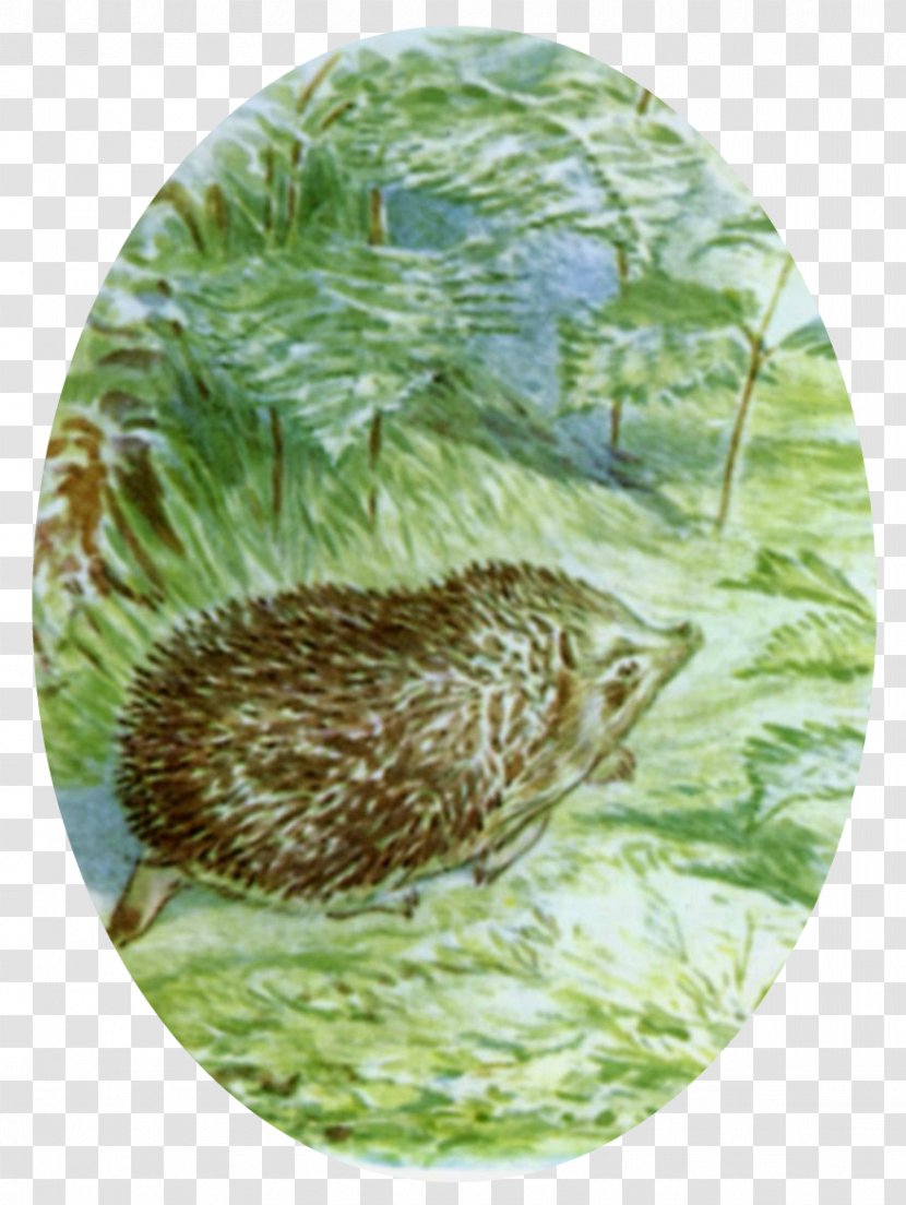 The Tale Of Mrs. Tiggy-Winkle Peter Rabbit Jemima Puddle-Duck Mr. Jeremy Fisher - Monotreme - BEATRIX POTTER Transparent PNG