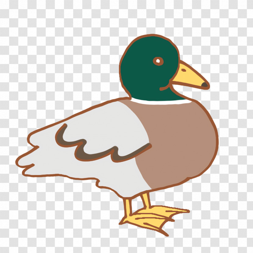 Duck Ducks Waterfowl Beak Cartoon Transparent PNG