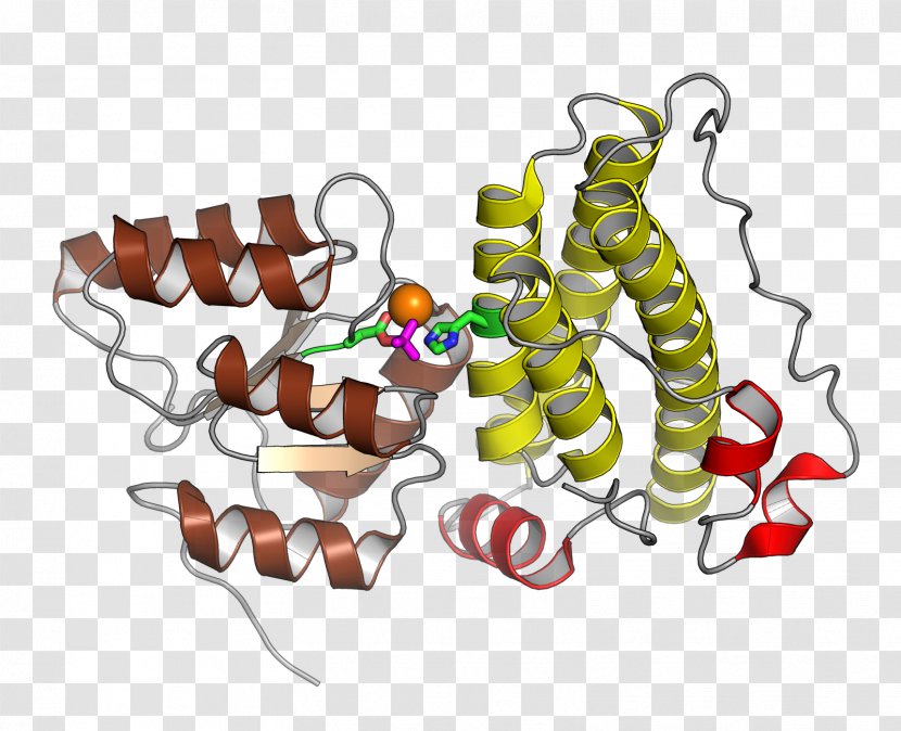 Histidine Phosphotransfer Domain Response Regulator Kinase Protein Two-component Regulatory System - Watercolor - Frame Transparent PNG
