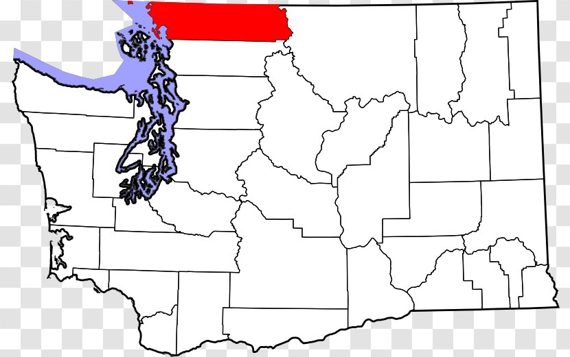 Bellingham Clark County Jefferson County, Washington Thurston Skagit - Organism - Map Transparent PNG