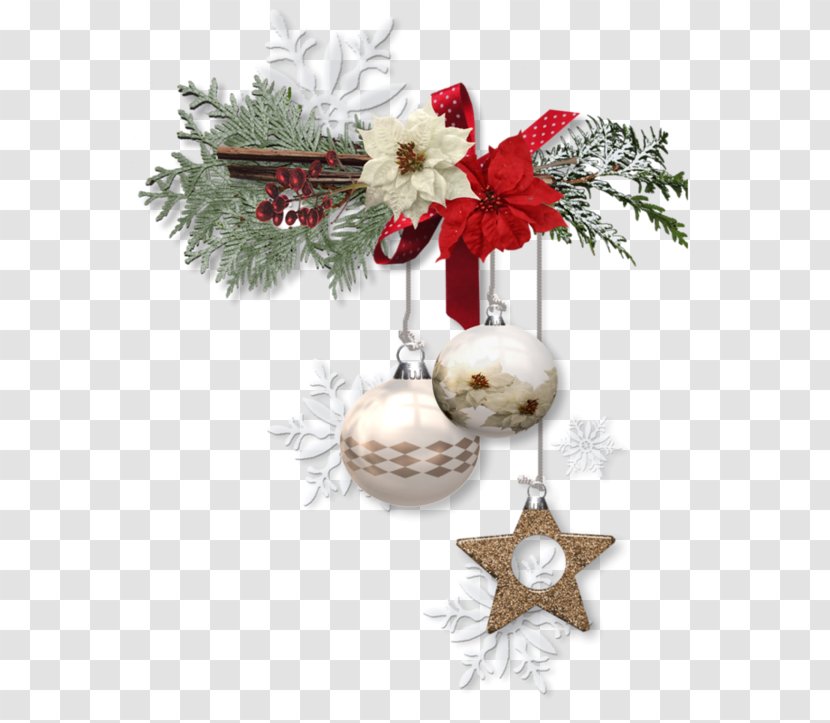 Common Holly Christmas Tree Pine Ornament - Decoration Transparent PNG