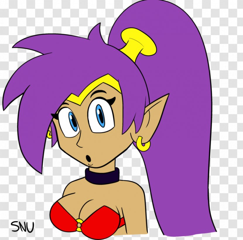 Shantae: Half-Genie Hero Shantae And The Pirate's Curse Risky's Revenge Wii U Game - Cartoon - Art Transparent PNG