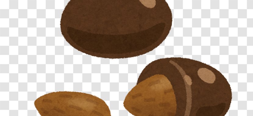Praline Chocolate Truffle Bonbon Lebkuchen - Bookmark - Almond Transparent PNG
