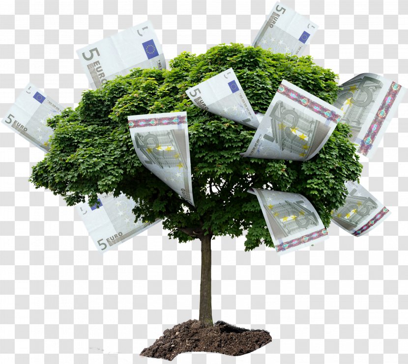 Tree Stock Photography Drawing Money Transparent PNG