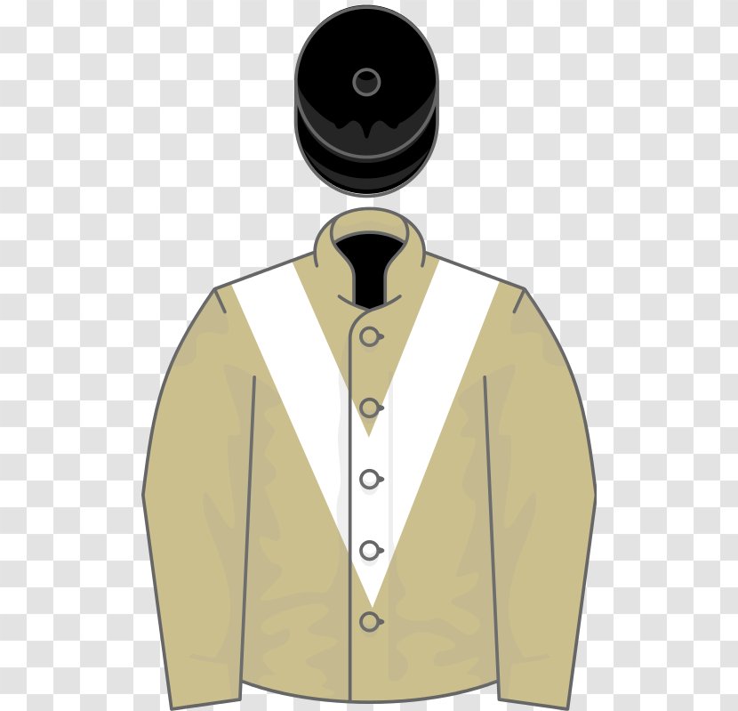 Thoroughbred Al Shaqab Arabian Horse Toast Of New York - Outerwear - Kingwell Hurdle Transparent PNG