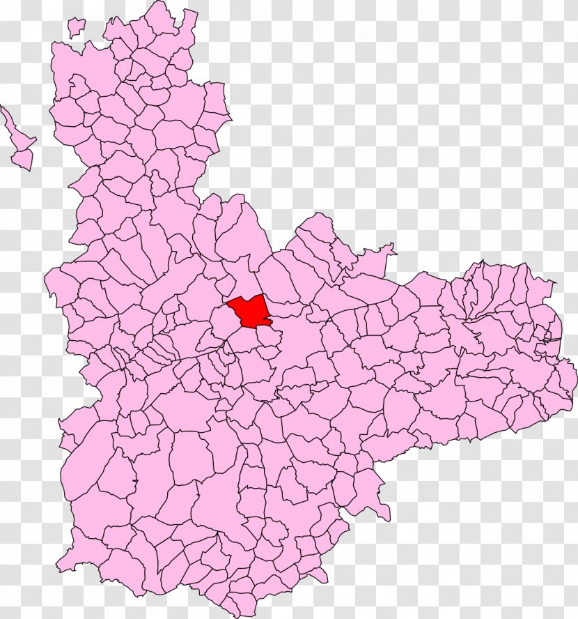 Adalia, Valladolid San Pelayo, El Carpio, Rueda, - Carpio - Pink Transparent PNG