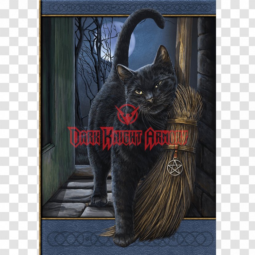 Black Cat Kitten Witchcraft Gothic Fiction - Craft Transparent PNG