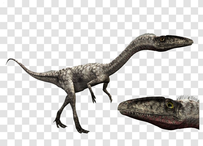 Velociraptor Coelophysis Giganotosaurus Dilophosaurus Spinosaurus - Extinction - Dinosaur Transparent PNG