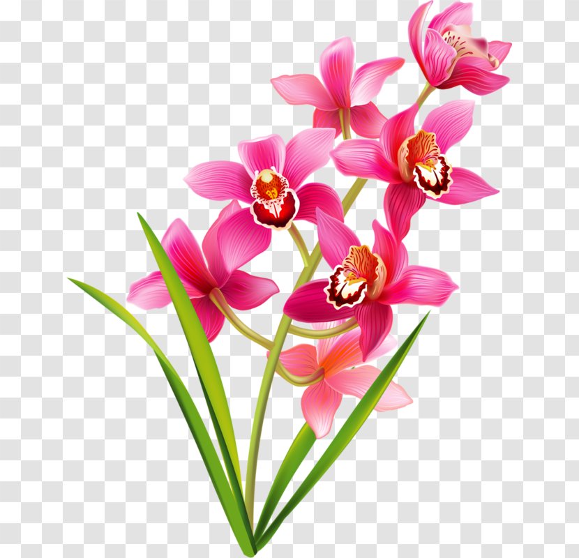 Floral Flower Background - Artificial - Perennial Plant Magenta Transparent PNG