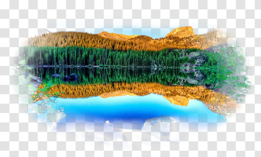 Bear Lake Dream Denali National Park And Preserve - Tropical Subtropical Coniferous Forests Transparent PNG