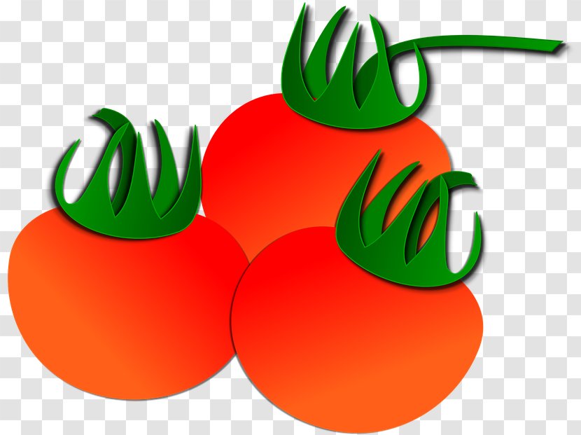 Tomato Vegetable Fruit Food Clip Art - Freshness Memorial Day Tomatoes Transparent PNG