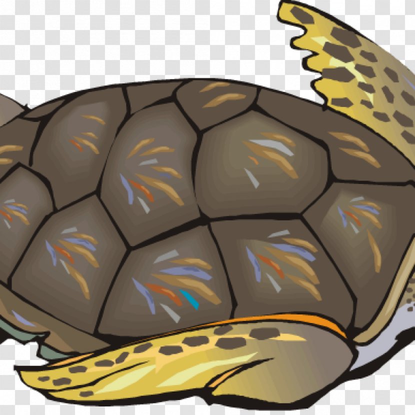 Clip Art Turtle Vector Graphics Image - Gopher Tortoise - Silhouette Sea Transparent PNG