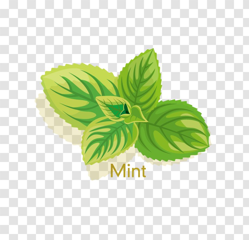 Cosmetics Peppermint Herb Icon - Pattern - Mint Transparent PNG