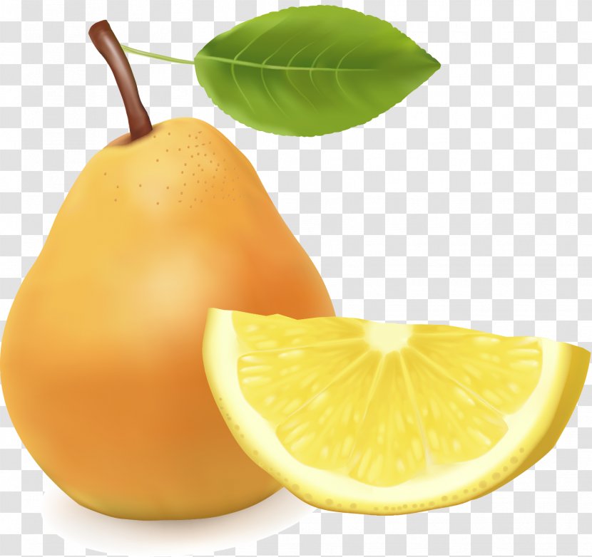 Grapefruit Asian Pear Lemon Tangelo - Diet Food - Material Of Huang Transparent PNG