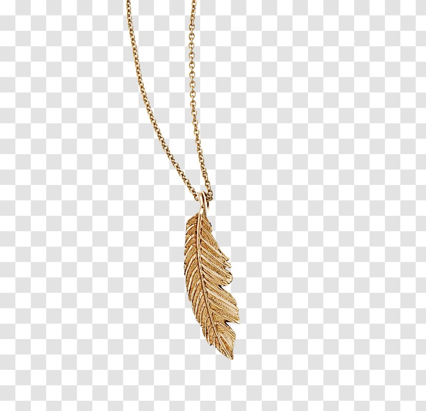 Necklace Charms & Pendants Body Jewellery Feather - Fashion Accessory Transparent PNG