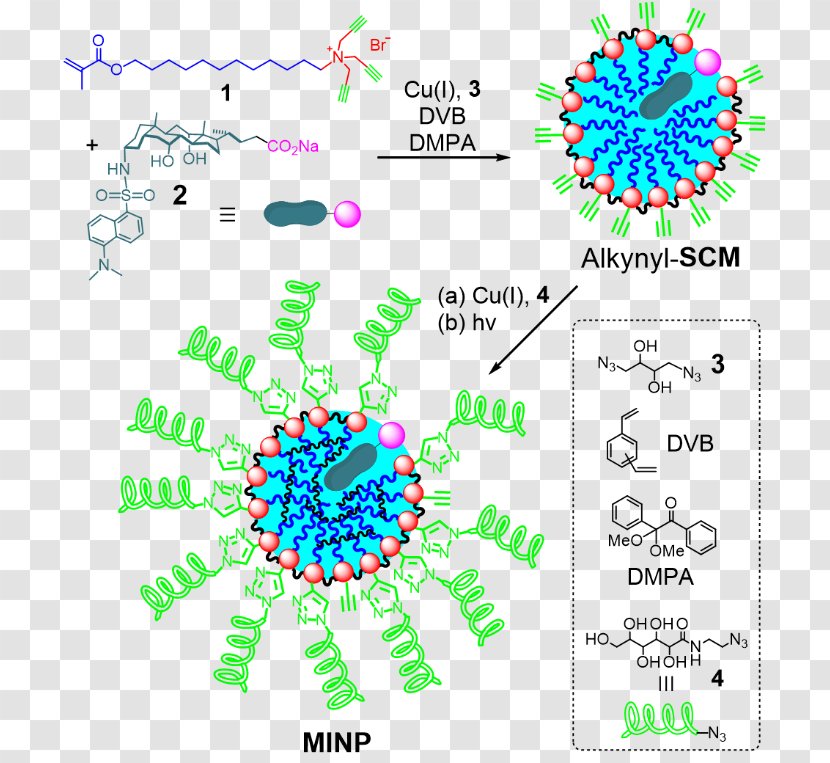 Nanoparticle Protein Micelle Molecule Hydrophobic Effect - Particle Chemistry Transparent PNG