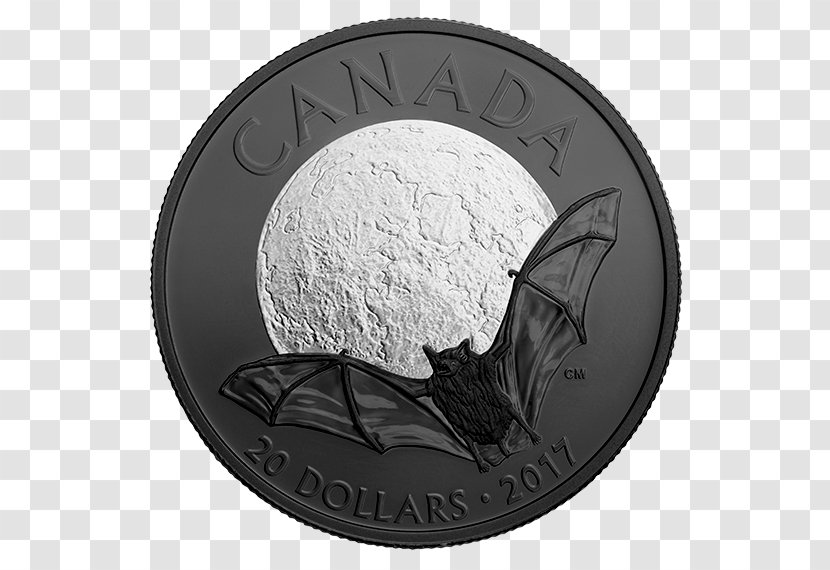 Silver Coin Canada Bat Types: Their Origin And Development - Night Transparent PNG