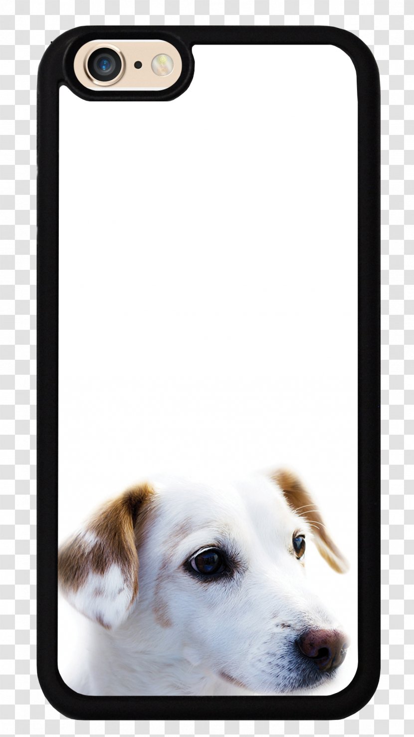 Dog Breed Puppy Companion Group (dog) Transparent PNG