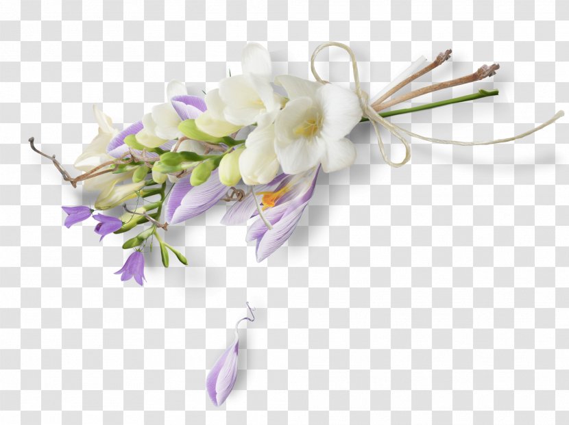 Cut Flowers Artificial Flower Floral Design Petal - Tuple - Spring Transparent PNG