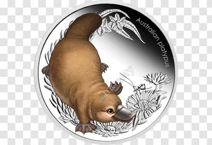 Monotreme Platypus Coin Mammal Gold - Commemorative Transparent PNG