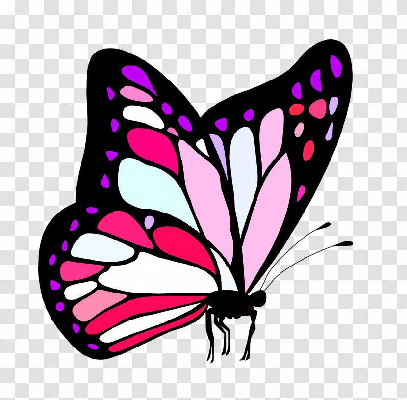 Monarch Butterfly Clip Art Image Drawing - Heart Transparent PNG