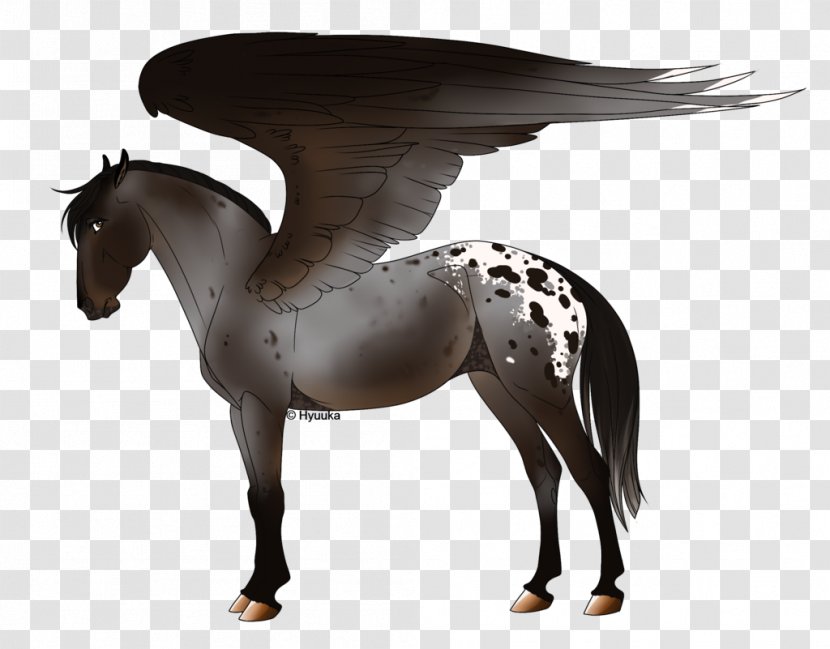 Mane Mustang Stallion Mare Pony - Leopard Seal Transparent PNG