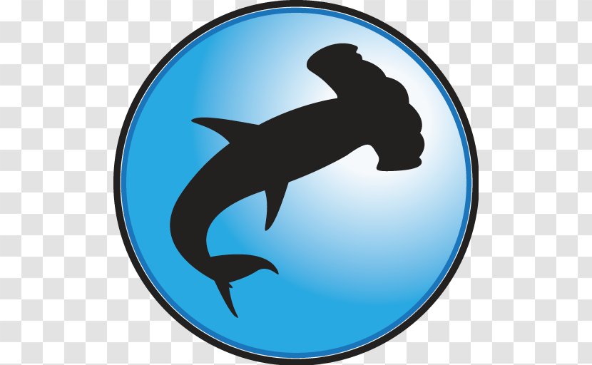 Dolphin Hammerhead Shark United States Trademark - Whales Dolphins And Porpoises Transparent PNG
