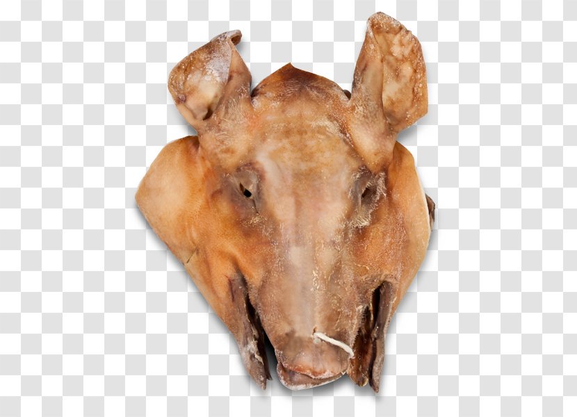 Pig's Ear Cocido Domestic Pig Bacon Fabada Asturiana Transparent PNG