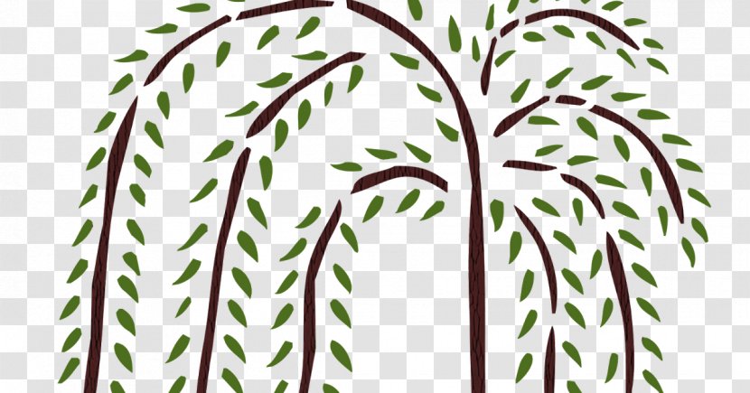 Tree Weeping Willow Drawing Stencil - Craft - Trees Transparent PNG