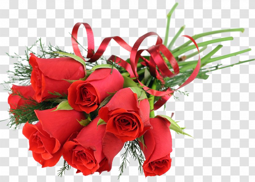 Valentine's Day Wish Feeling Happiness Rose - Greeting Note Cards Transparent PNG