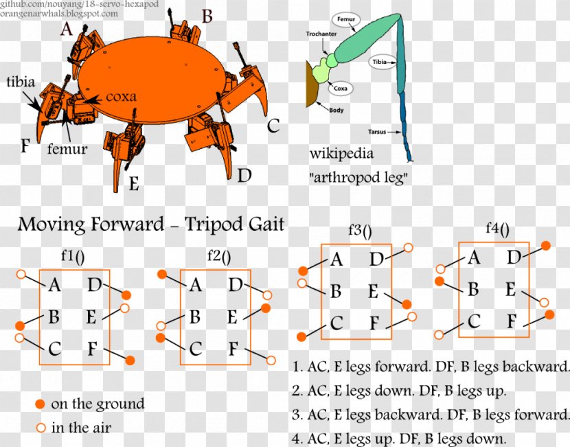 Hexapod Gait Servomechanism - Arduino Transparent PNG