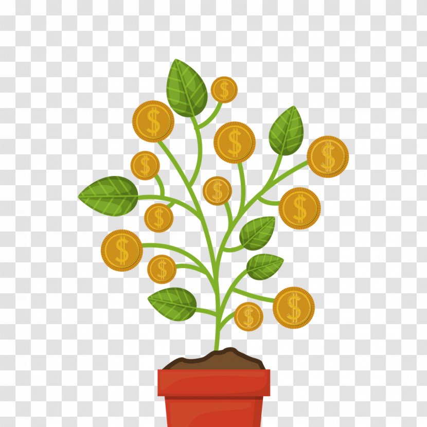 Money Coin Fee Funding - Plant - Tree Transparent PNG