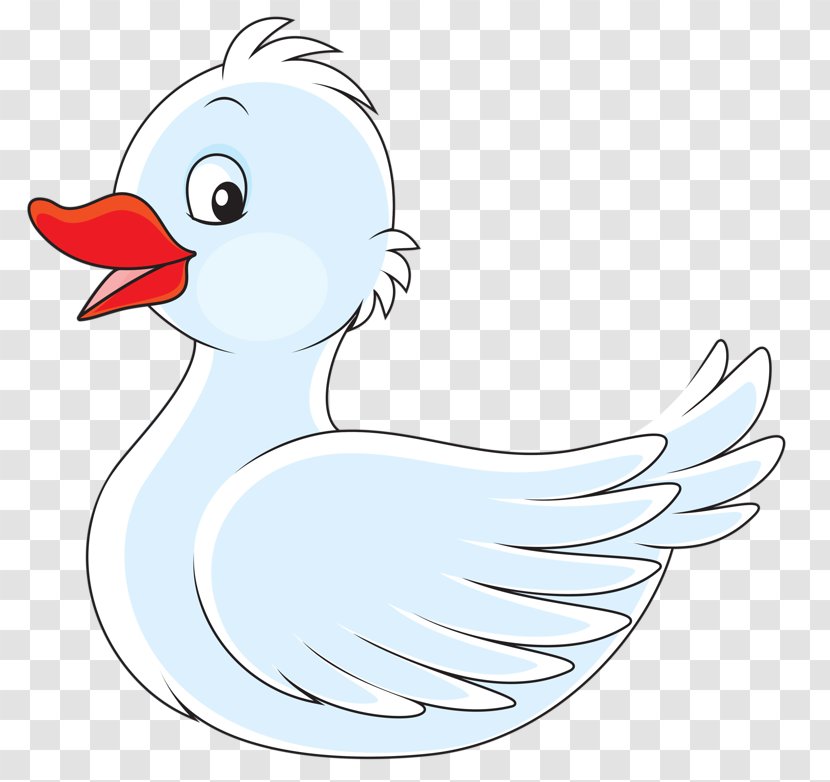 Cygnini Duck - Line Art - White Swan Transparent PNG