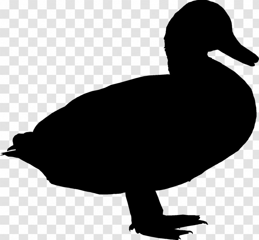 Duck Goose Clip Art Fauna Fowl - Mallard Transparent PNG