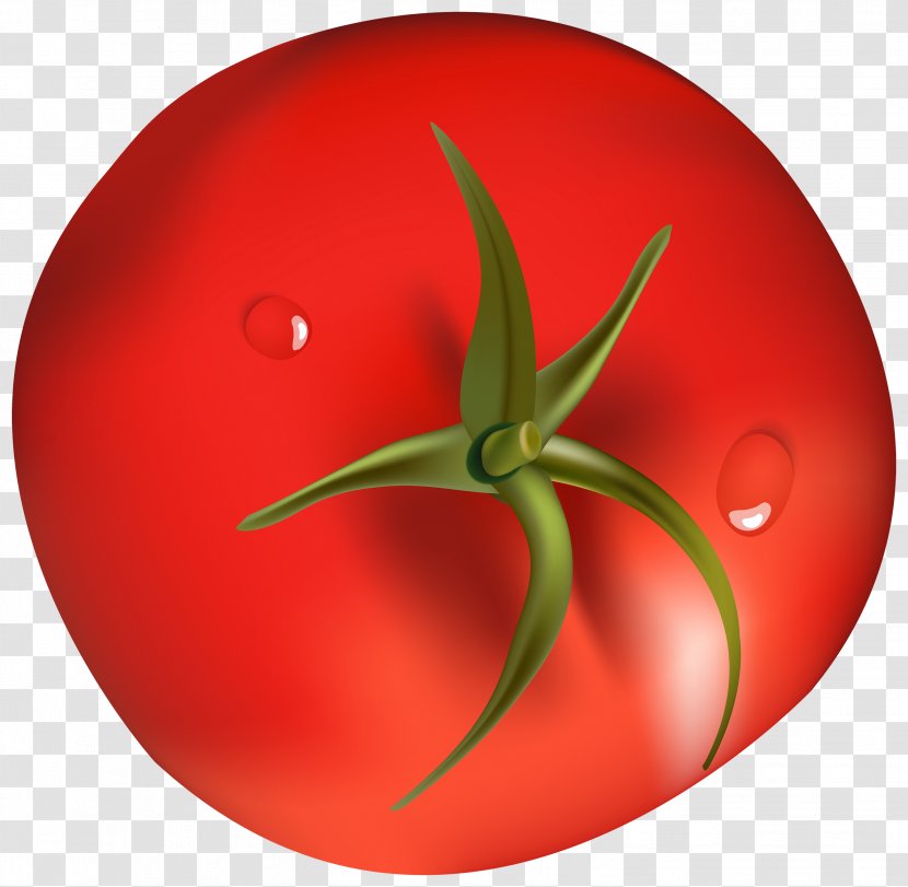 Tomato Vegetable Food Clip Art - Onion Transparent PNG