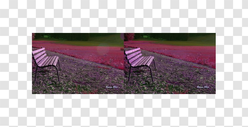 Bench Garden Furniture Lawn - Purple - Project Reality Transparent PNG