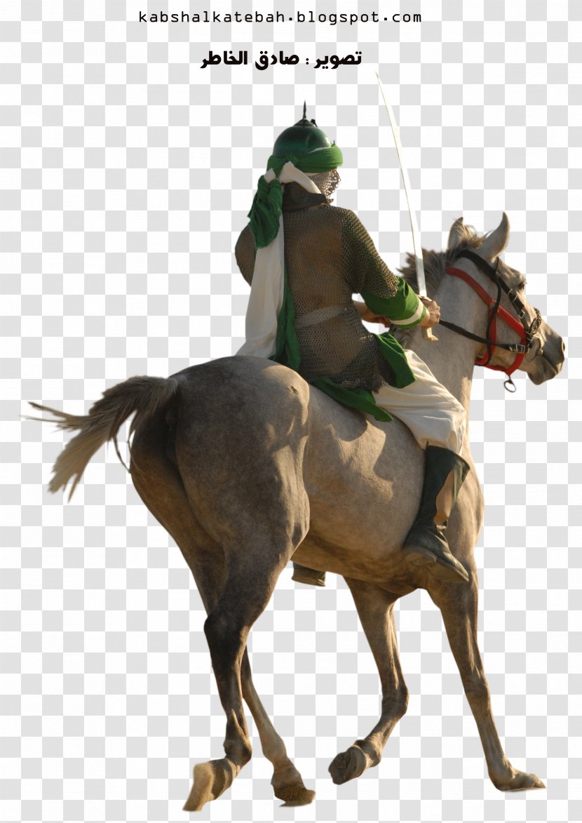 Battle Of Karbala Shia Islam God Equestrian Imam - Bridle - Contents Transparent PNG