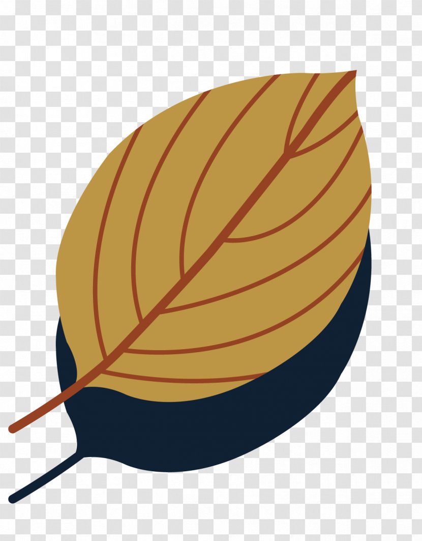 Leaf Euclidean Vector Clip Art - Ellipse - Autumn Leaves Collection Material Transparent PNG