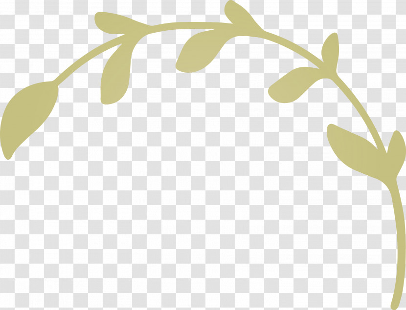 Plant Stem Petal Leaf Twig Font Transparent PNG