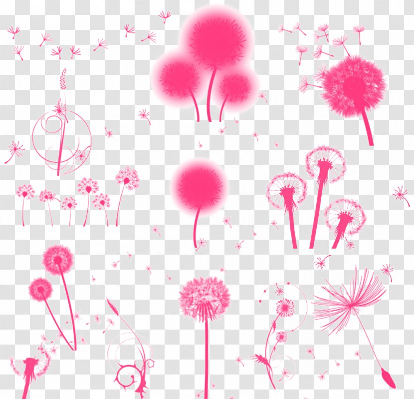 Dandelion Plant - Floristry - Floating Dandelions Transparent PNG