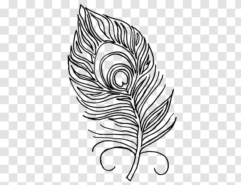 Feather Coloring Book Pavo Bird - Monochrome Photography - Illustration Transparent PNG