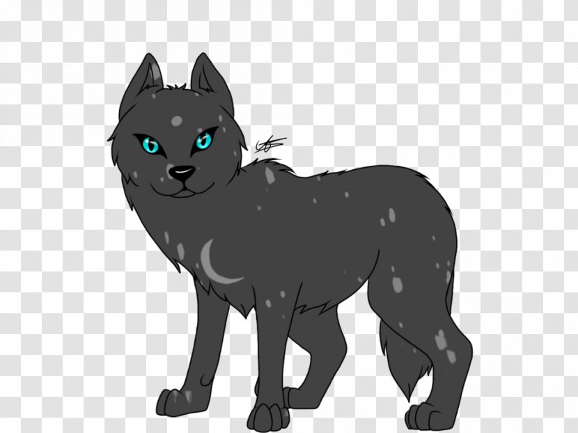 Black Cat Whiskers Dog Transparent PNG