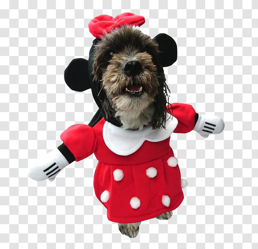 Dog Breed Minnie Mouse Puppy - Companion Transparent PNG